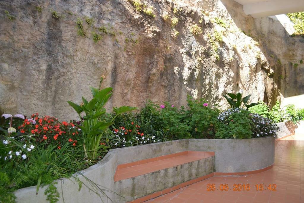 Coral Villa إيريسييرا المظهر الخارجي الصورة